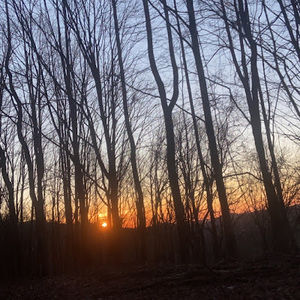 Meet your Posher, Avery